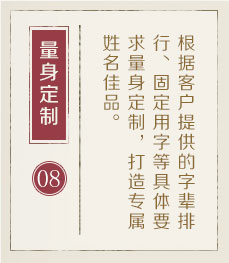 陇南起名流程八