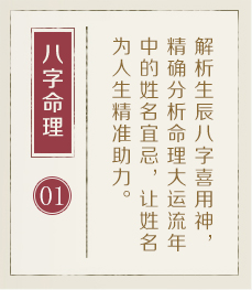 陇南起名流程一